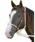 Breaking Hackamore Bitless Horse Bridle For Training With 7/16 Rope Noseband 3/4 Headstall And Flat Braided Reins on horse