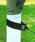 Tree Wrap 3 Inch By 50 Foot Bark Shield That Keeps Your Trees Safe From Scorch And Trimmer Or Mower Damage Made From Durable Polypropylene