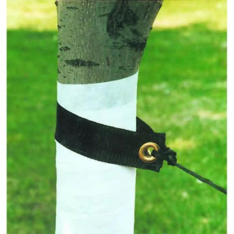Tree Wrap 3 Inch By 50 Foot Bark Shield That Keeps Your Trees Safe From Scorch And Trimmer Or Mower Damage Made From Durable Polypropylene