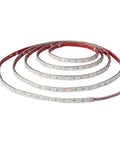 Coiled Outdoor LED Ribbon Flex Pro Grade Series 60 4000K 32.8 Ft Dimmable Waterproof Light Strip with 800 Lumens Per Meter