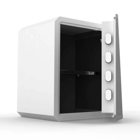Biometric Safe Box With Key For Home Office Use, Fingerprint Lock Box, Boss Level Security Safe With Touchscreen Keypad, 2.1 Cubic Feet