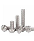 Badass M6 X 12mm Stainless Steel Slotted Cheese Head Machine Screws with a mix of lengths and heads for tough projects.