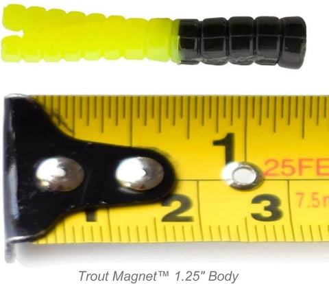 Split-Tail Grub Body Pack, 50-Count, For Trout, Bass, And Panfish, Bumblebee Color next to measuring tape showing 1.25 inch size.