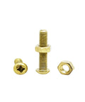 Top Shelf Brass Pan Head Hex Nut Combination Kit With Assorted Metric Cross Recess Machine Screws For Quick Fixes and Professional Vehicle Gear Mods, showing brass screws and nuts set.