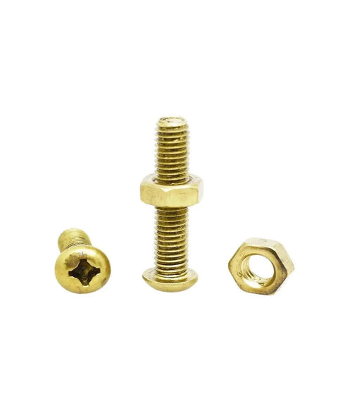 Top Shelf Brass Pan Head Hex Nut Combination Kit With Assorted Metric Cross Recess Machine Screws For Quick Fixes and Professional Vehicle Gear Mods, showing brass screws and nuts set.
