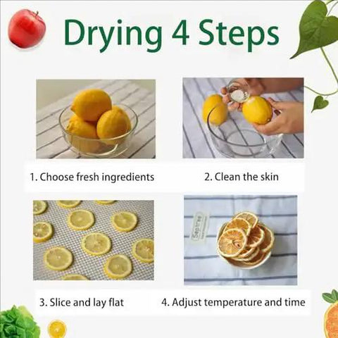 Drying 4 steps for fruits; fresh lemons in bowls, sliced lemons prepared for dehydrating with adjustable temperature.