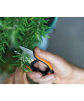 Using Herb Garden Snips With Sheath And Soft Grip Handle For Easy Kitchen Harvests Five Inch Stainless Steel Garden Scissors on herbs