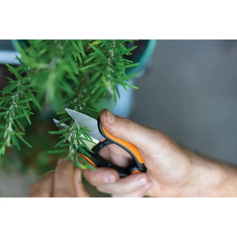 Using Herb Garden Snips With Sheath And Soft Grip Handle For Easy Kitchen Harvests Five Inch Stainless Steel Garden Scissors on herbs