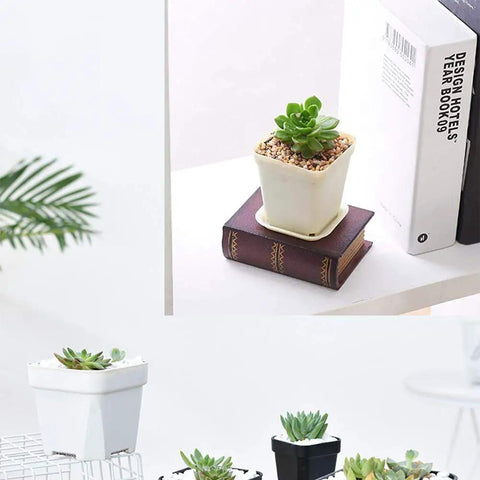Set Of 24 White Square Plastic Plant Pots With Saucers 3 Inch Seedling Planters For Succulents And Flowers Drainage Holes Indoor Outdoor Garden Home Office Balcony Decor