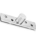 Stainless Steel 360 Degree Door Hinge Heavy Duty Pivot With Brushed Finish For Revolving Doors 75mm Central Axis