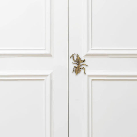 Antique Mantis Cabinet Pulls And Drawer Knobs For Dresser Closet Cupboards And Doors In Coffee Brass Finish on white wood
