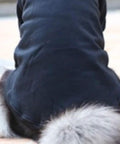 Soft-furred dog wearing a black outfit, showcasing a fluffy tail and backside in an outdoor setting.