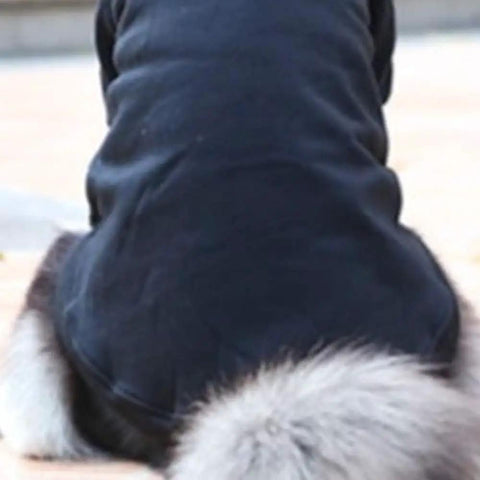Soft-furred dog wearing a black outfit, showcasing a fluffy tail and backside in an outdoor setting.