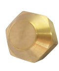 Brass Flare Cap from Assortment Kit For SAE 45 Degree Flared Tube Fittings, 1/2 Inch Tube OD, hexagonal shape, close-up view.