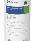 Big Blue Carbon Water Filter Cartridge 10 Inch Radial Flow GAC 25 Micron Reduces Sediment and Chlorine Taste Odor for Whole House Housings Fits 10x4.5 Heavy Duty Housings