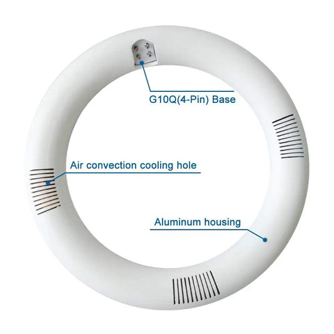 8 Inch LED Circline Light Bulb 1600LM 13W Daylight 6000K for FC8T9 CW Fluorescent Replacements Ballast Bypass Ready Clear Cover