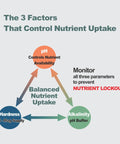 Diagram showing the 3 factors affecting nutrient uptake: pH, alkalinity, and hardness for Hydroponic Water Test Strips 120 Pack.