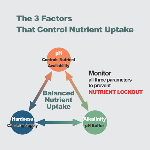 Diagram showing the 3 factors affecting nutrient uptake: pH, alkalinity, and hardness for Hydroponic Water Test Strips 120 Pack.