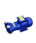 Industrial Beast Mode Compact Submersible Water Ring Vacuum Pump Featuring Slick Brushless Motor For Smooth Water Circulation.