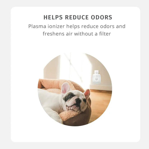 UV-C Plug-In Personal Air Purifier With Auto On Motion Sensor Built-In Night Light For Small Rooms Bedrooms And Bathrooms Odor Reduction 2-Stage Sanitizer No Filters To Replace Compact Space next to sleeping dog.