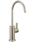 Heavy Duty Stainless Steel Water Dispenser Faucet Built Tough For Reverse Osmosis Systems Featuring Rust Resistant Finish and Slick High Flow Pour For Your Kitchen Setup, sleek gooseneck design.