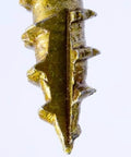 Close-up view of the tip of a Gold Ten By Two And A Half Inch Structural Wood Screw With Washer Head And Star Drive.