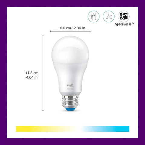 Two-Pack Color 60W A19 Smart WiFi Light Bulbs With 16 Million Colors, Works With Alexa And Google Assistant, product dimensions shown