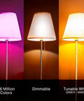 Color Changing WiFi LED Bulbs A19 850 Lumens 9.5W Dimmable With Auto White And 16 Million Colors No Hub Required To Set The Vibe demonstrating 16 million colors and tunable white
