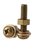 Premium Brass Screw Nut Kit Featuring Pan Head Phillips Fasteners With Washers For Metalworking Projects In M3 To M6 Sizes showing brass screws and nuts.