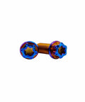 Burnt Blue Titanium Motorcycle Bolts M10 1.5 Hex Torx Head Pack Of 5 Beefy Dual Drive Flange Bolts Lightweight Tough As Nails For Performance Bikes