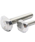 Two Stainless Steel T Shape Hammer Head Bolts for T Slot Systems M5 M6 M8 M10 M12 Set 1 2 5 10 Pieces Durable Fasteners