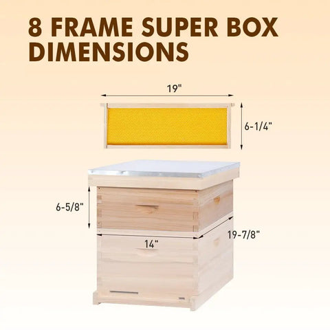 8 Frame Bee Hive Starter Kit With Deep Brood Box And Medium Super Includes Beehive Frames And Foundation Sheets Easy Assembly Cedar Wood Beekeeping Setup For Beginners Ready To Go showing super box dimensions.