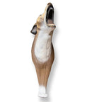 Howling Coyote 3D Archery Target With Dura-Flex Foam Self-Healing Core, front view showing lifelike design