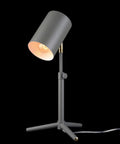 2 Light Desk Lamp Set in Matte Black With Matte Brass Accents, side view of one lamp showing shade and pivot joint