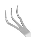 Close-up of three-prong stainless steel root rake for bonsai and garden soil loosening with ergonomic handle.