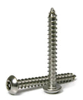 Heavy-Duty Torx With Pin Tamper Proof Security Button Head Sheet Metal Screws Badass 18-8 Stainless Steel in T25 Drive.