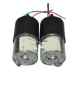 Badass DC 3V To 6V Super Slow Speed 310 Planetary Gear Motor, dual motors with copper shafts and wiring for DIY projects.