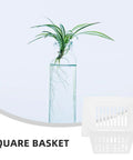 White Square Nursery Pots Set 12 Pack Plastic Planters near a plant in a transparent vase focusing on root monitoring.