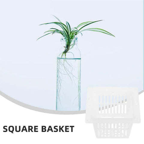 White Square Nursery Pots Set 12 Pack Plastic Planters near a plant in a transparent vase focusing on root monitoring.