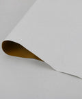 Water Writing Scroll Paper for Calligraphy Practice Blank Scroll Sheets White Flannel Storage Reusable Practice Papers