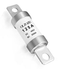 Top Shelf Heavy Duty High Voltage Automotive Fuse For Your Electric Ride Quick Short Circuit Shield Universal DC450V Ev Upgrade, 125A.