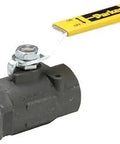 Industrial Carbon Steel Ball Valve 1-1/2 Inch With Female Pipe Ends And Panel Mount, Phosphate Coated Body, PTFE Seats