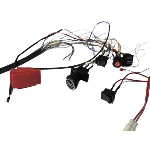 High Power DIY 2.4G Harness Conversion Kit for Kids Ride On Toys Upgrade, wiring harness and components view