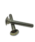 Stainless Steel Carriage Bolts Three Quarters Inch Length Pack Of 100 For Woodworking And Construction Projects
