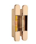 Heavy Duty Hydraulic Buffer Hinge With Invisible Hidden Spring For Automatic Soft Close Silent Operation Built Tough Without The Hassle, gold color, detailed view.