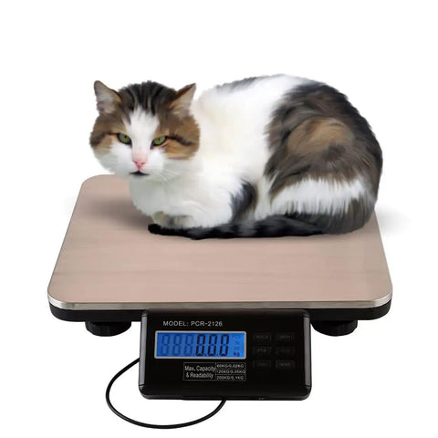 Heavy Duty Digital Shipping Scale With Six Hundred Sixty Pound Load And Smooth Stainless Steel Platform For Real Deal Accurate Parcel Weighing Plus Straight Up LCD Readouts with a cat on the platform.