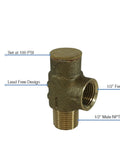Front view of 1/2-in lead-free brass pressure relief valve with 100 PSI setting; bottom 1/2-in MNPT and side 1/2-in FNPT ports.