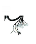 Badass Dual Drive Wiring Harness Plug And Play For Custom Ev Builds showing multiple connectors and harness, suitable for electric motorcycle kit.