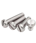 Badass M2 Slotted Cheese Head Screw Caps With Rust Resistant Stainless Body 20mm Length, 304 steel fasteners in bulk.