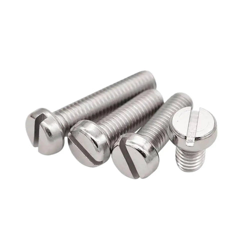 Badass M2 Slotted Cheese Head Screw Caps With Rust Resistant Stainless Body 20mm Length, 304 steel fasteners in bulk.